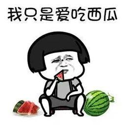 吃瓜系统搞笑沙雕小说娱乐圈